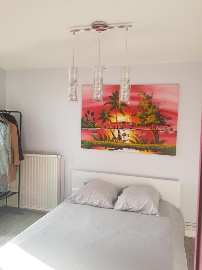 Chambres A Louer Dans Appartement Balcon - Wifi - Parking Gratuit Nevers Zewnętrze zdjęcie