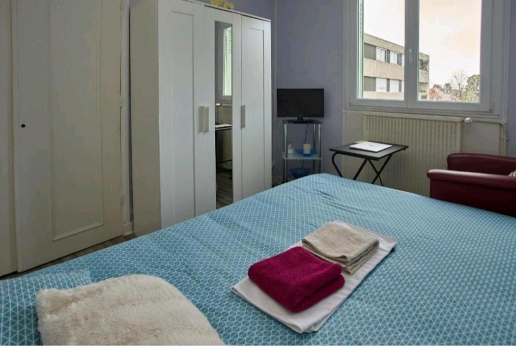 Chambres A Louer Dans Appartement Balcon - Wifi - Parking Gratuit Nevers Zewnętrze zdjęcie