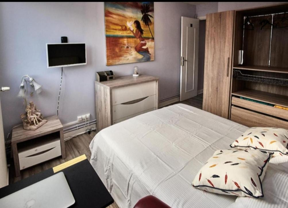 Chambres A Louer Dans Appartement Balcon - Wifi - Parking Gratuit Nevers Zewnętrze zdjęcie
