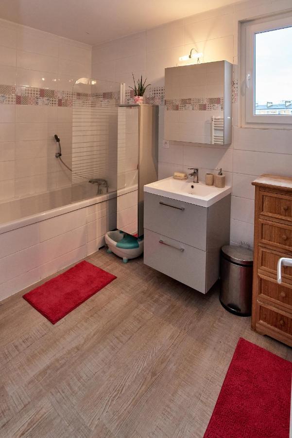 Chambres A Louer Dans Appartement Balcon - Wifi - Parking Gratuit Nevers Zewnętrze zdjęcie